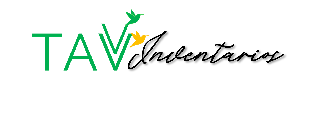 Logo TAV Inventarios